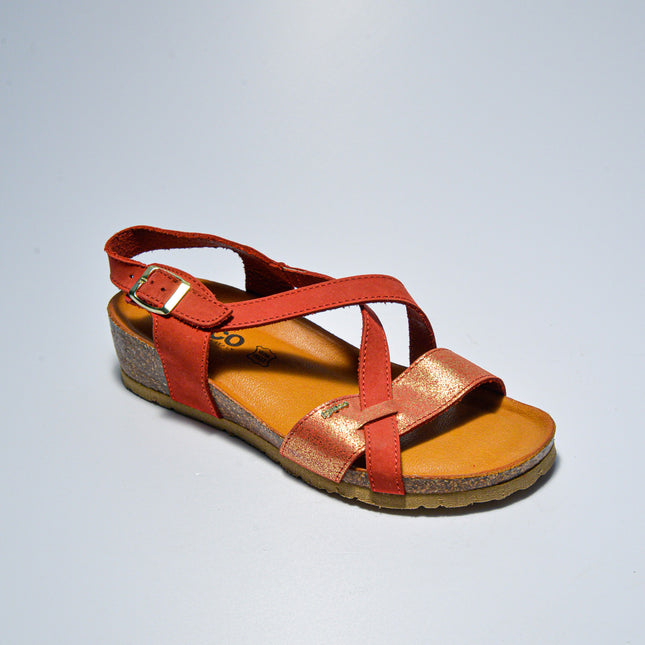 IGI&CO C.C 8333 SANDALO ROSSO